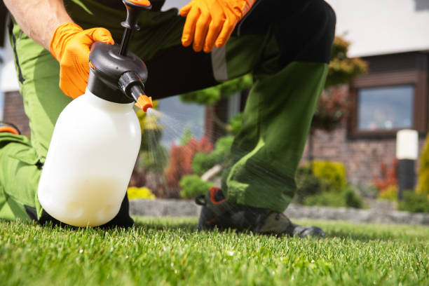 Lawn Pest Control in Coupeville, WA